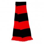 Winchester City FC Scarf
