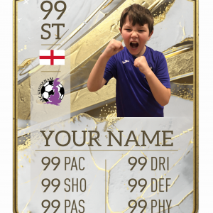 AFC Stoneham Metal Player Shield (A4)